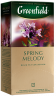 Spring Melody Spring Melody